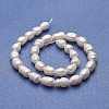 Natural Cultured Freshwater Pearl Beads Strands PEAR-P060-03B-01-2
