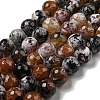 Faceted Natural Fire Crackle Agate Beads Strands G-F447-12mm-N14-2