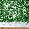 MIYUKI Round Rocailles Beads X-SEED-G007-RR0016-4