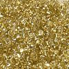 Baking Paint Glass Seed Beads SEED-K009-03B-02-3
