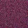 TOHO Round Seed Beads SEED-JPTR08-0304-2