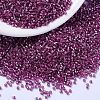 MIYUKI Delica Beads SEED-X0054-DB2162-1