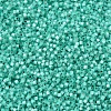 MIYUKI Delica Beads X-SEED-J020-DB0627-3