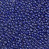 8/0 Czech Opaque Glass Seed Beads SEED-N004-003A-24-4