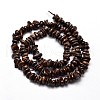 Natural Bronzite Chip Beads Strands G-E271-127-2