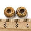 Natural Picture Jasper Beads G-Q173-03A-13-3