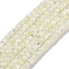 Natural Trochid Shell/Trochus Shell Beads Strands BSHE-G038-01-1