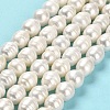 Natural Cultured Freshwater Pearl Beads Strands PEAR-E016-089-2