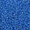 TOHO Round Seed Beads X-SEED-TR08-0309-2