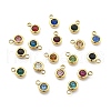 304 Stainless Steel Charms STAS-Z115-01G-1