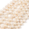 Natural Cultured Freshwater Pearl Beads Strands PEAR-I007-04E-01A-2