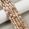 Dyed Natural Regalite/Imperial Jasper/Sea Sediment Jasper Beads Strands G-B124-C04-11-5