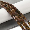 Natural Picasso Jasper Beads Strands G-Q161-C01-01-2