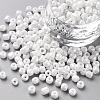 6/0 Glass Seed Beads SEED-US0003-4mm-121-1