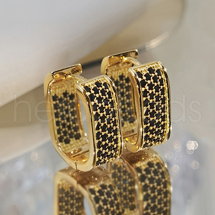 Oval Brass Micro Pave Cubic Zirconia Hoop Earrings WG8C9EE-03-1