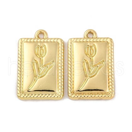 Alloy Pendants FIND-U007-09G-1