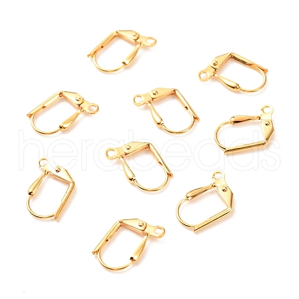 Brass Leverback Earring Findings X-KK-F824-005G-1
