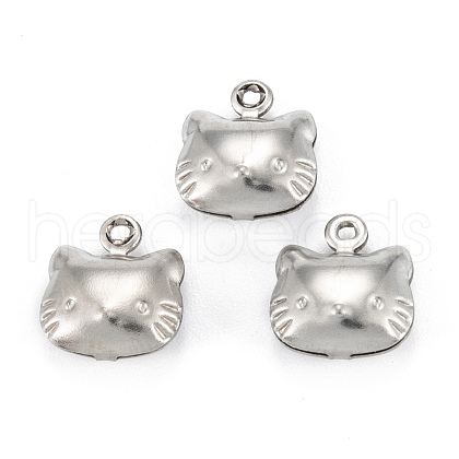 Non-Tarnish 316 Surgical Stainless Steel Charms X-STAS-C026-14P-1