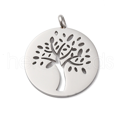 304 Stainless Steel Pendants STAS-P393-03P-1