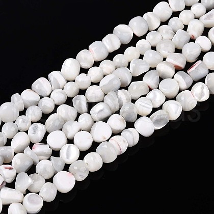 Natural Trochid Shell/Trochus Shell Beads Strands SSHEL-N040-07-1