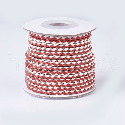 Braided Leather Cords WL-P002-05-A-1