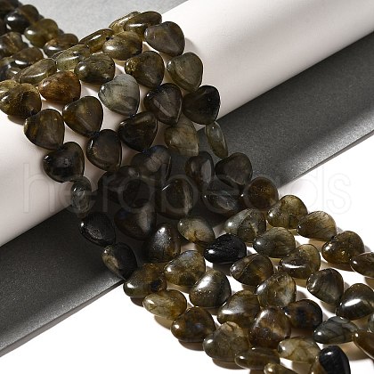 Natural Labradorite Beads Strands G-R190-10mm-52-1