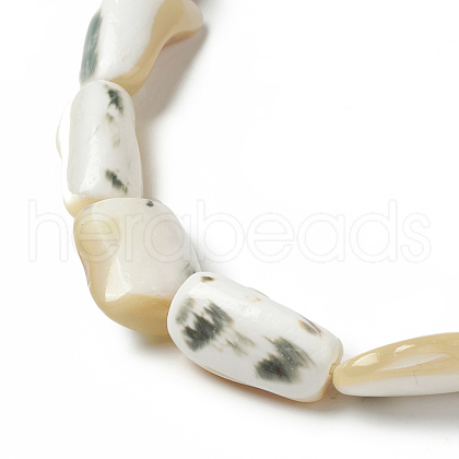 Natural Trochid Shell/Trochus Shell Beads Strands SHEL-F004-12-1