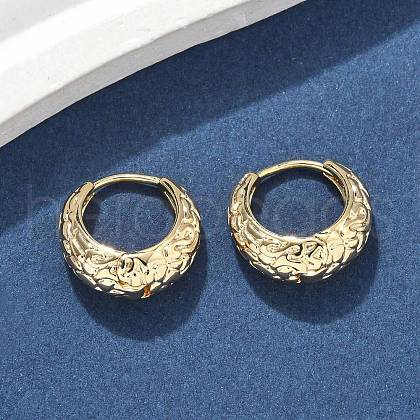 Brass Hoop Earrings EJEW-D320-16G-1