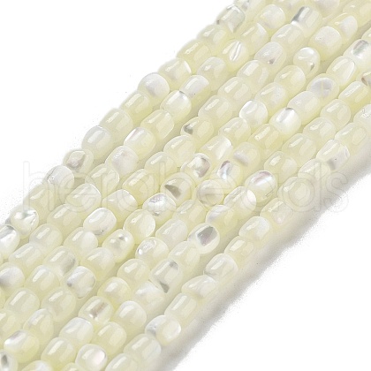 Natural Trochid Shell/Trochus Shell Beads Strands BSHE-G038-01-1