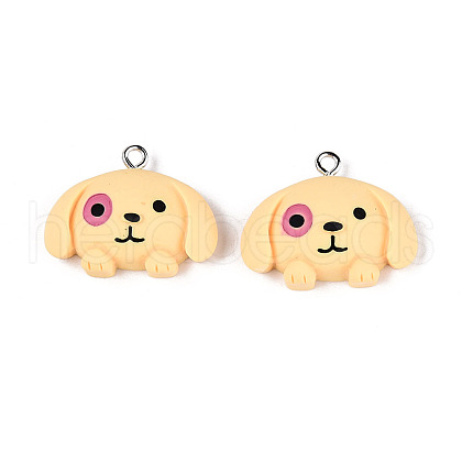 Cartoon Opaque Resin Pendants RESI-G054-01D-P-1