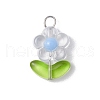 Transparent Acrylic Pendants PALLOY-JF03713-01-3