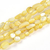 Natural White Shell Beads Strands SHEL-N036-21H-1