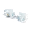 Handmade Porcelain Beads PORC-O005-06A-2