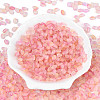 Frosted Glass Seed Beads SEED-N008-05B-2