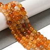 Dyed & Heated Natural Dragon Veins Agate Beads Strands G-P539-A01-19-2