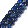 Natural Lapis Lazuli Bead Strands G-Z006-A26-1
