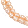 Natural Cultured Freshwater Pearl Beads Strands PEAR-P064-20J-03B-4