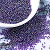 MIYUKI Round Rocailles Beads X-SEED-G007-RR0356-1