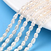 Natural Cultured Freshwater Pearl Beads Strands X1-PEAR-N012-03H-1