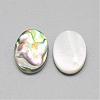 Paua Shell Cabochons SSHEL-R042-20-2