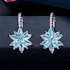 Brass Cubic Zirconia Hoop Earrings WGBE890-06-2