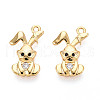 Brass Micro Pave Cubic Zirconia Charms KK-N263-64G-1