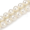 Shell Pearl Beads Strands PEAR-XCP0001-12-2