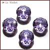 Imitation Austrian Crystal Beads SWAR-F068-8x10mm-04-1