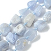 Natural Blue Lace Agate Beads Strands G-G117-B07-02-2