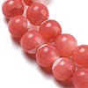 Dyed Natural Trochus Shell Beads Strands BSHE-G034-25B-4