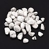 Natural Howlite Beads G-O029-08D-2