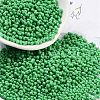 Baking Paint Glass Seed Beads X1-SEED-A033-05Q-1
