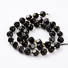Natural Black Onyx Beads Strands G-A030-B22-10mm-2
