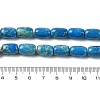 Natural Imperial Jasper Beads Strands G-Q171-B01-01-5